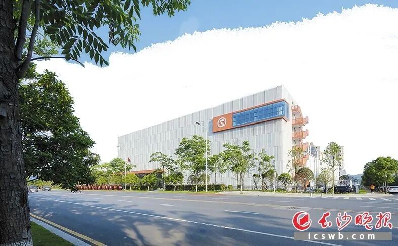 国产午夜福利十八禁在线观看